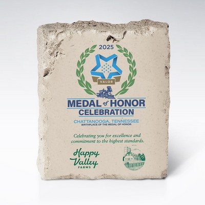 6" Intrinsic Desk Award