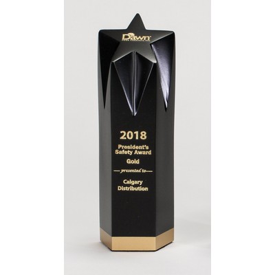 8" Large Star Award